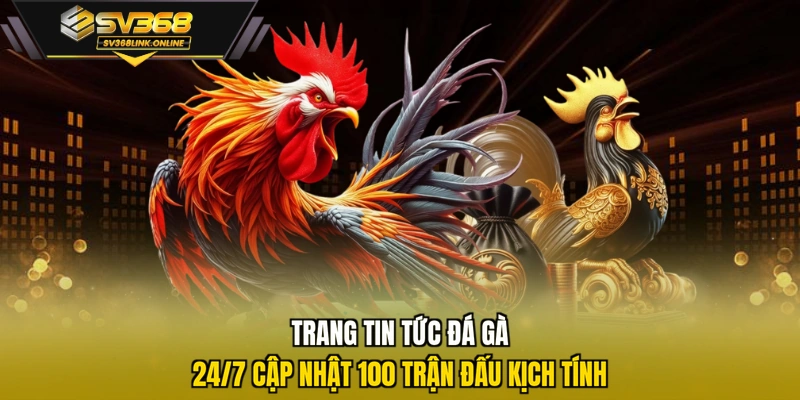 Trang tin tức đá gà 24/7 cập nhật 100 trận đấu kịch tính